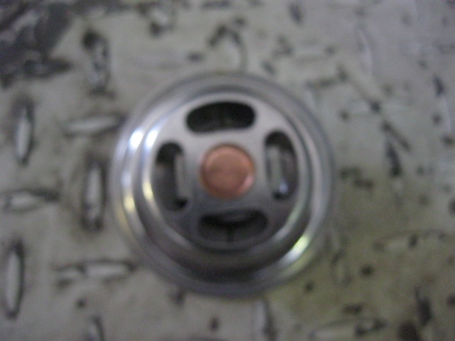 SP101666	C22AL-1118010+A	Thermostats