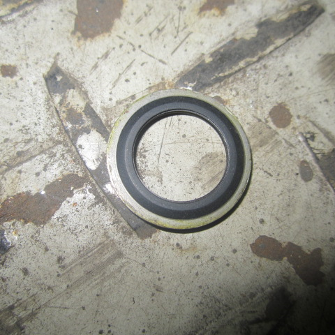 SP106436	C3935171	Gasket