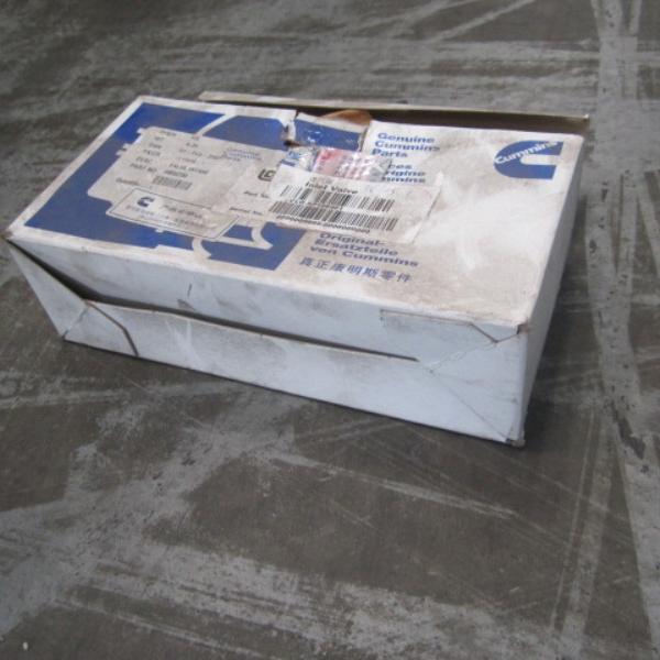 SP106461	4955239	Intake valve