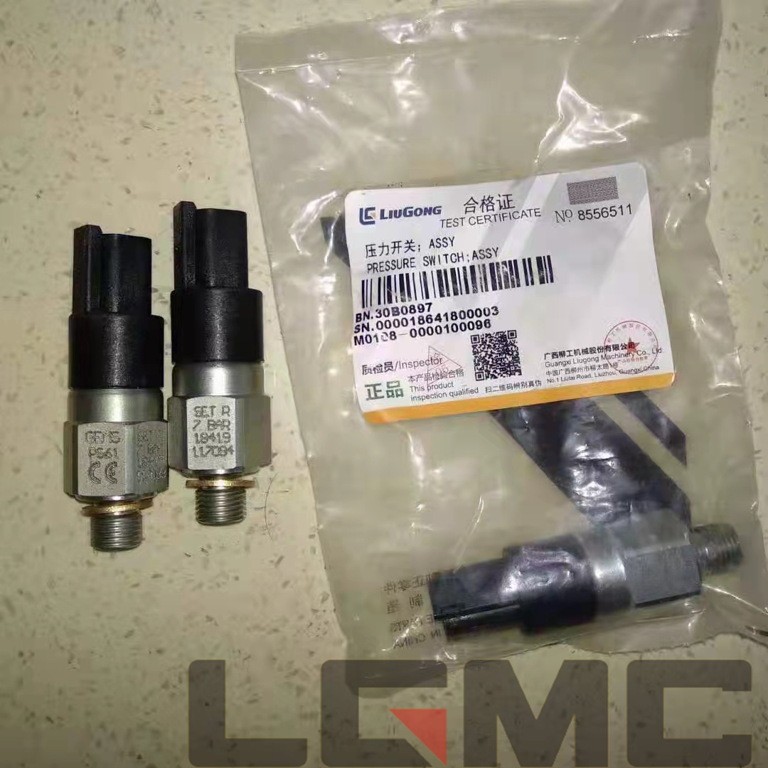 30B0897 Pressure switch