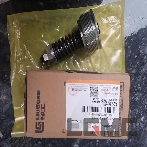 12C5296 Check valve
