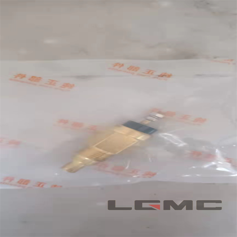 803608742 Water temperature sensor (original)