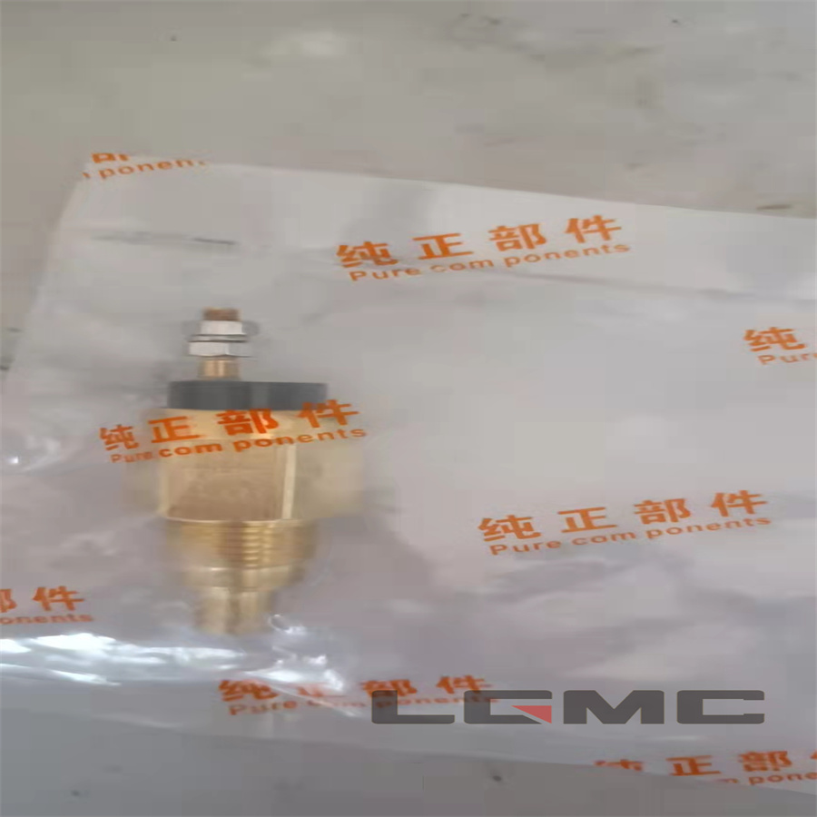 803608742 Water temperature sensor (original)