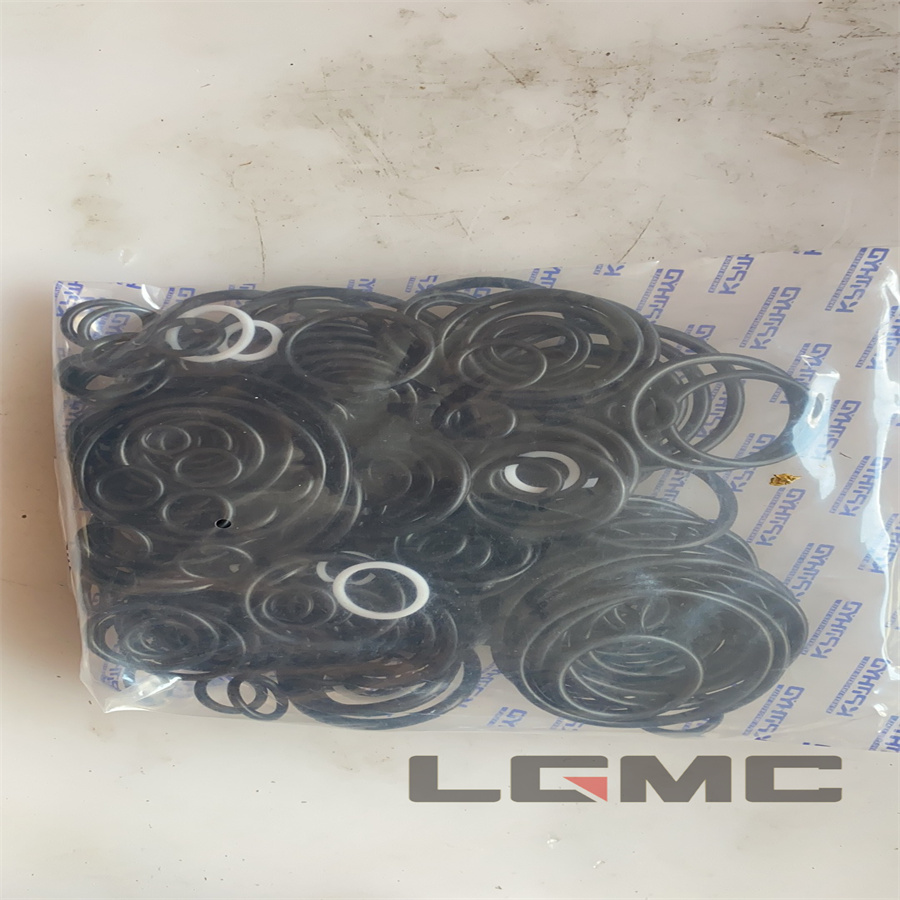 DX340 Control Valve Repair Kit