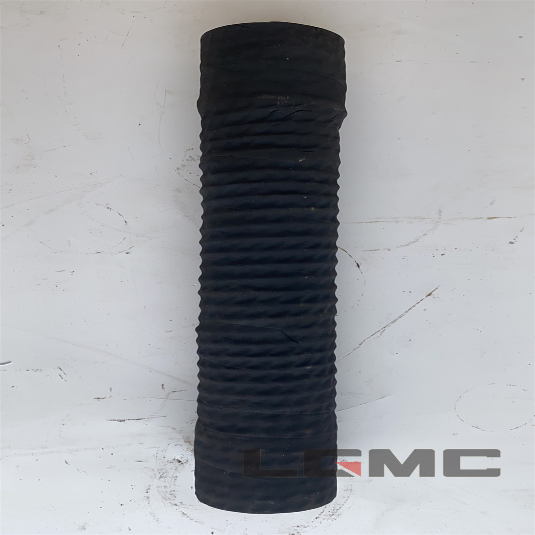00C0010 Pump oil hose