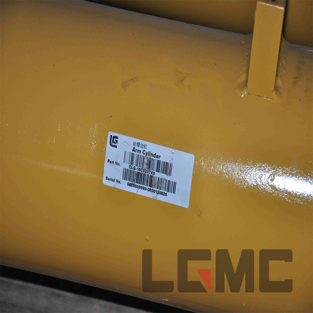10C0207X0 Boom cylinder