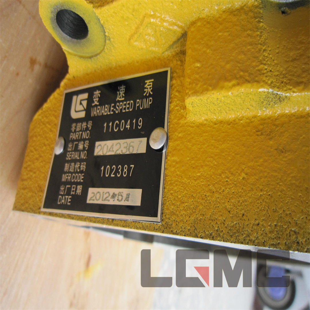 11C0419 Variable speed pump