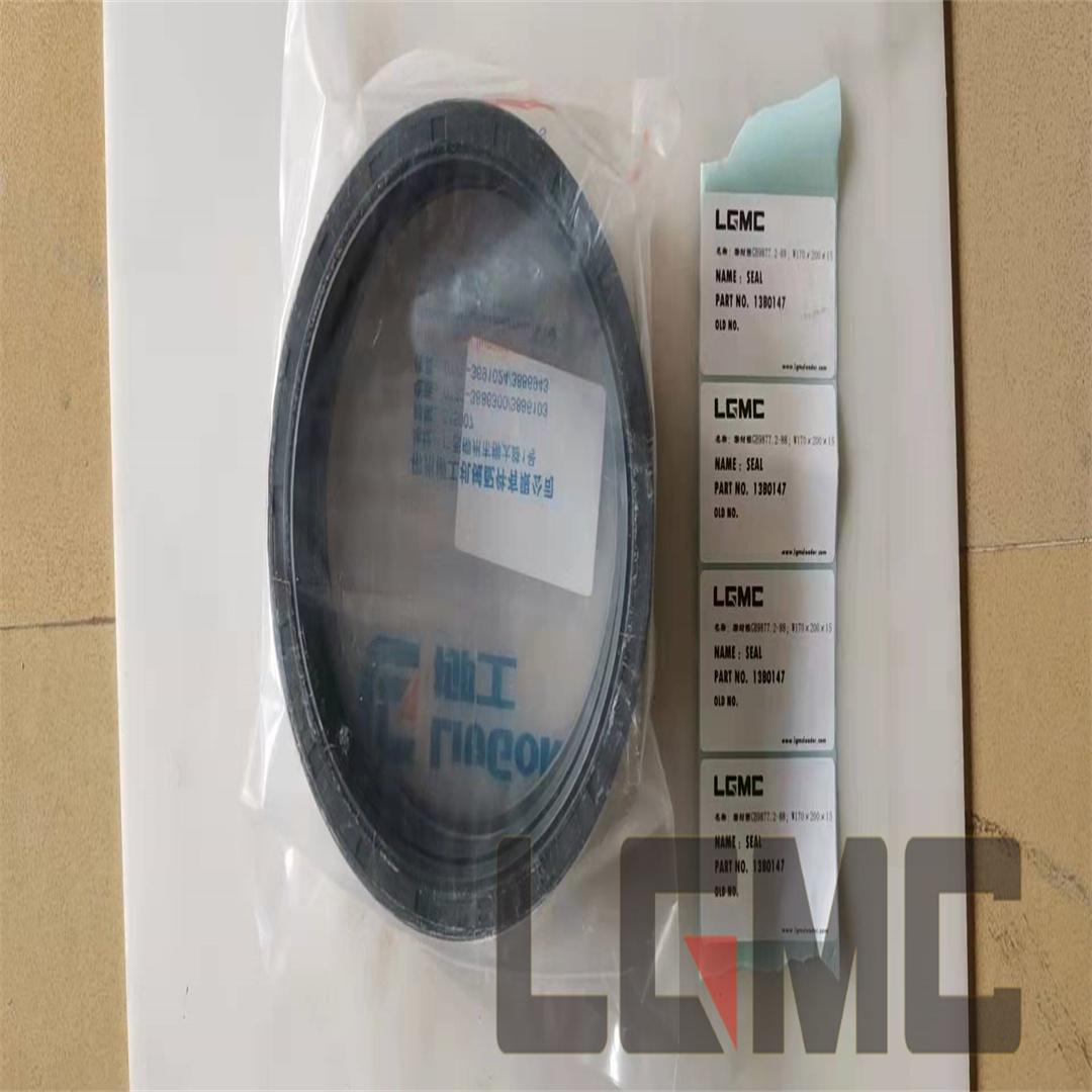 13B0147 Sealing ring GB9877.2-88; W170×200×15 SEAL