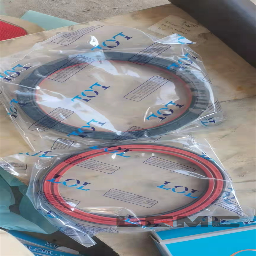 13B0220 Skeleton oil seal