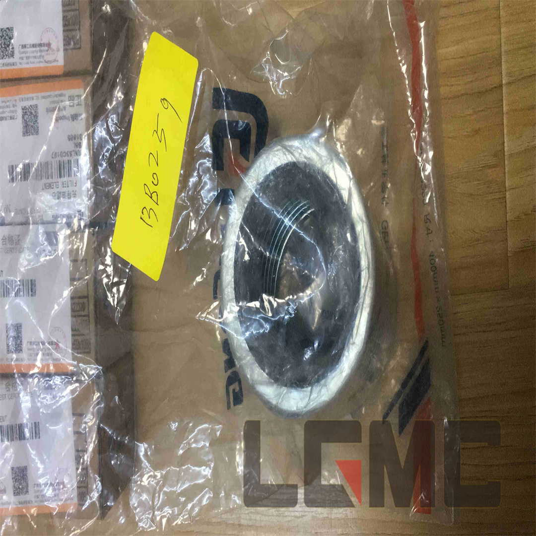 13B0259 pin dust seal VAW 80x100x6