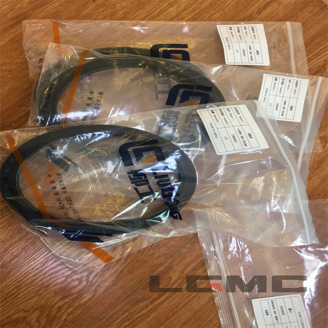 13B0887 Gear oil seal