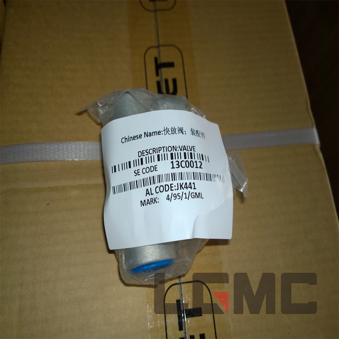 13C0012 Quick release valve