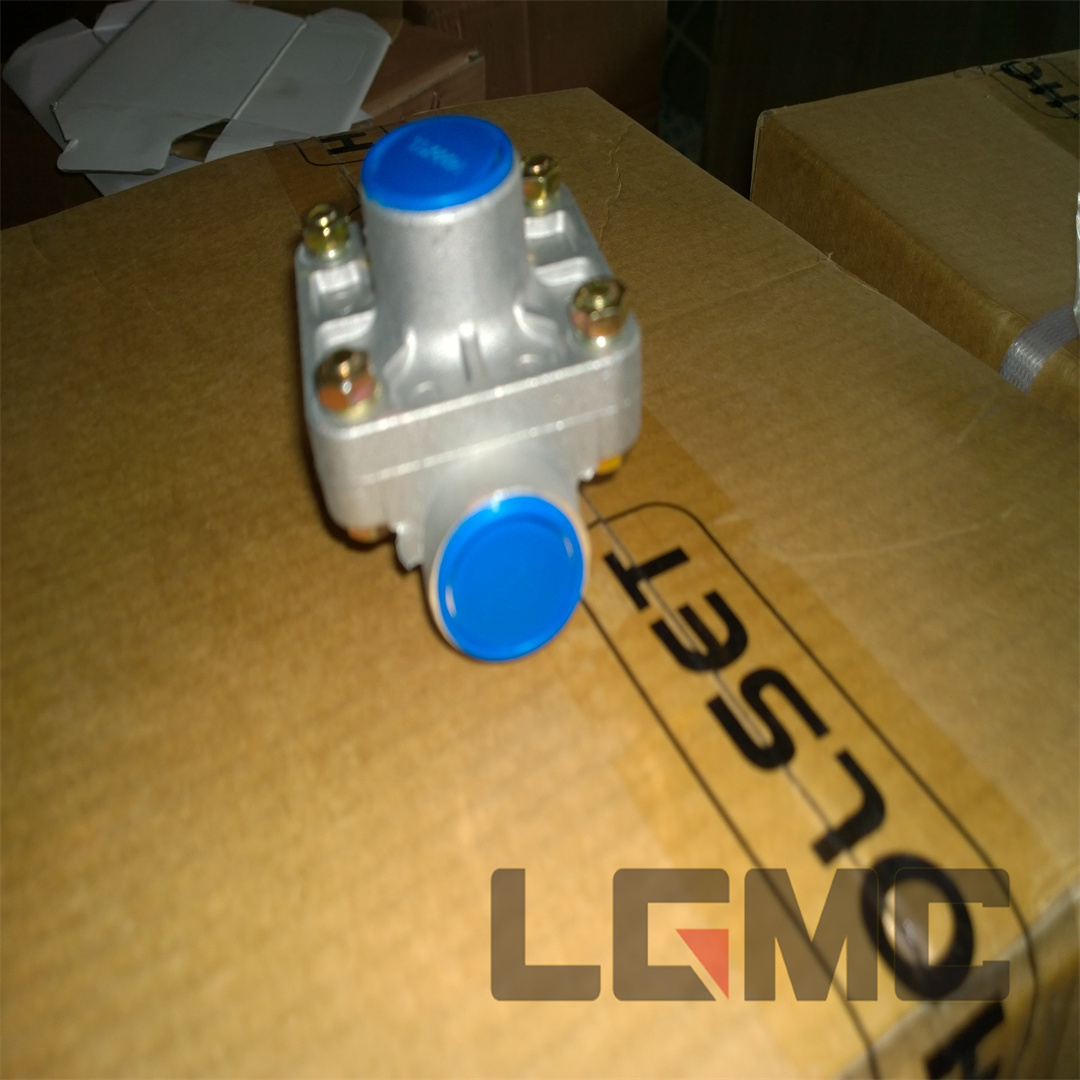 13C0012 Quick release valve