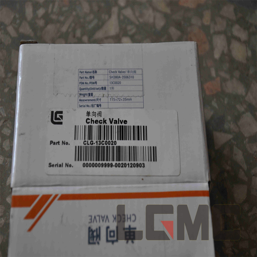 13C0020 Check valve