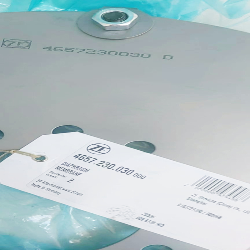 4657230030 Elastic plate diaphragm