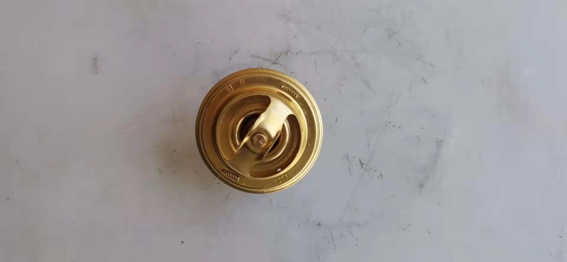 490B-43002 Thermostat