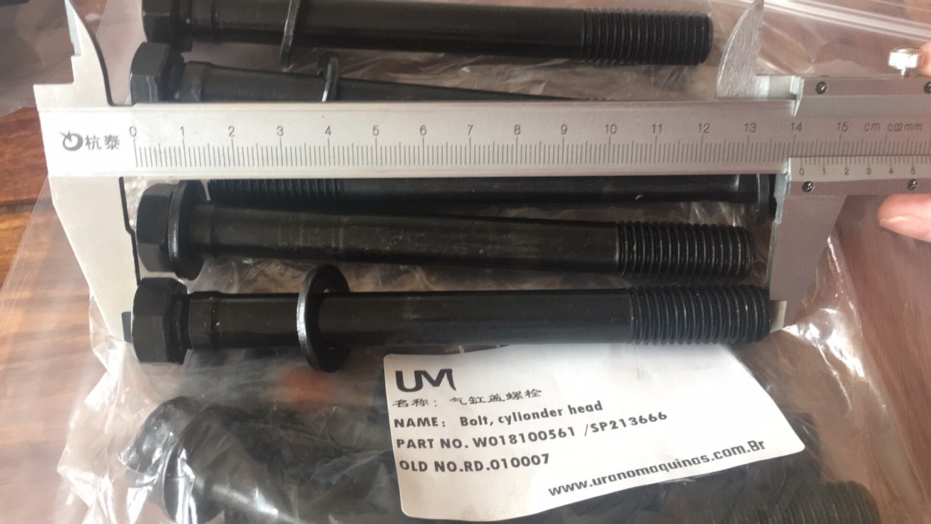 SP213666 Deputy Factory W018100561; BOLT, CYLIONDER HEAD;