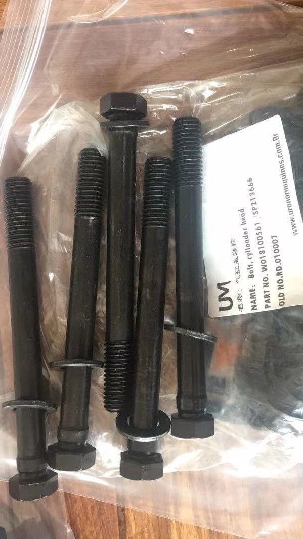 SP213666 Cylinder head bolt WO18100561